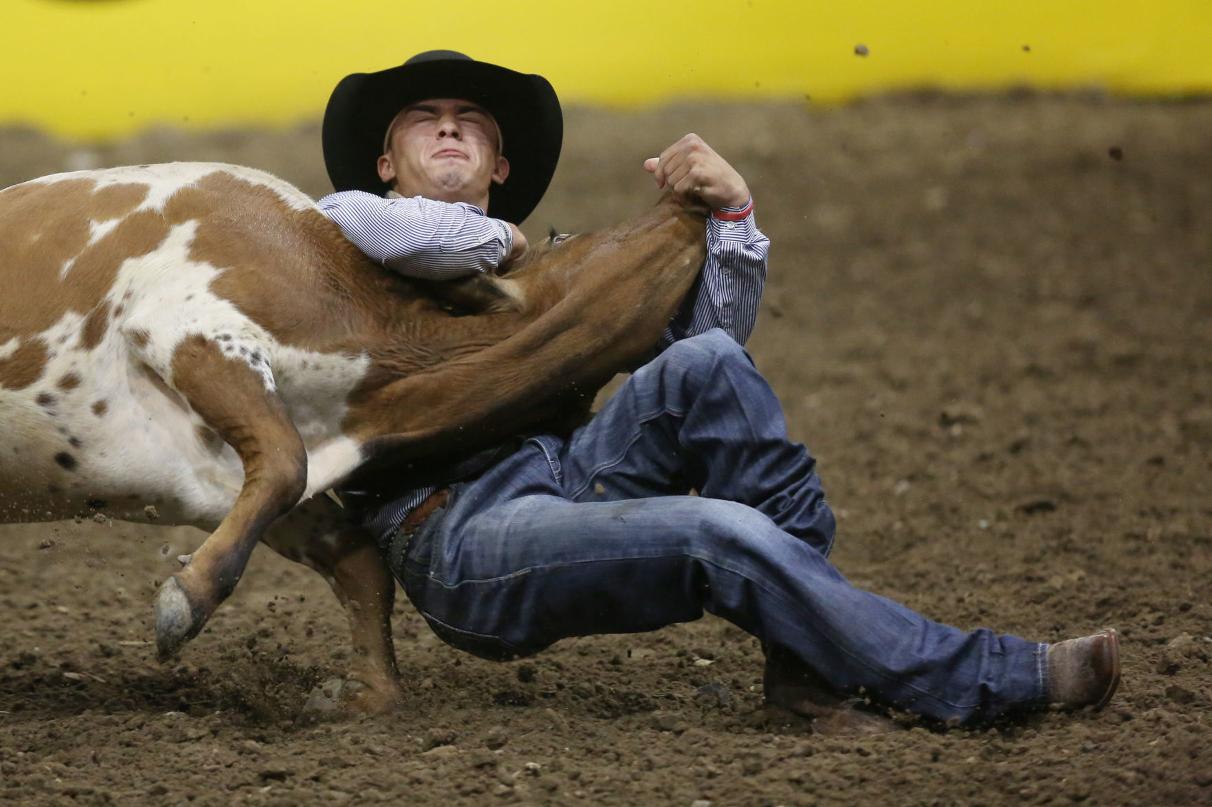 CNFR